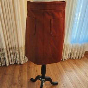 Ann Taylor fall/ winter skirt